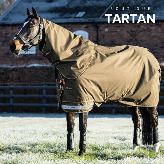 Arika Ripstop 100g Turnout Rug Alpine