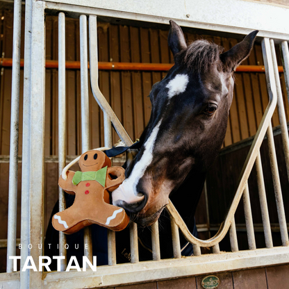 Horse Toy Gingerbread Man