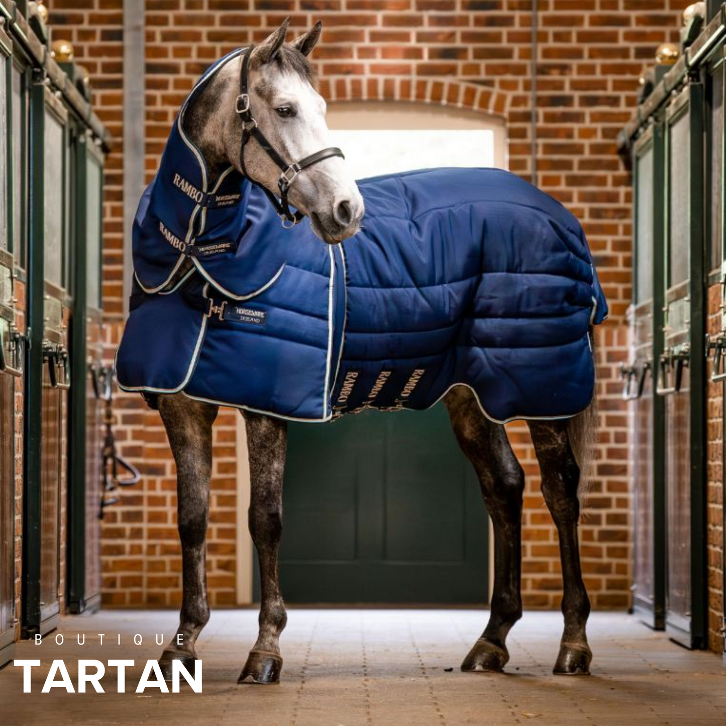 Rambo® Optimo Stable Plus Rug (400g Heavy)